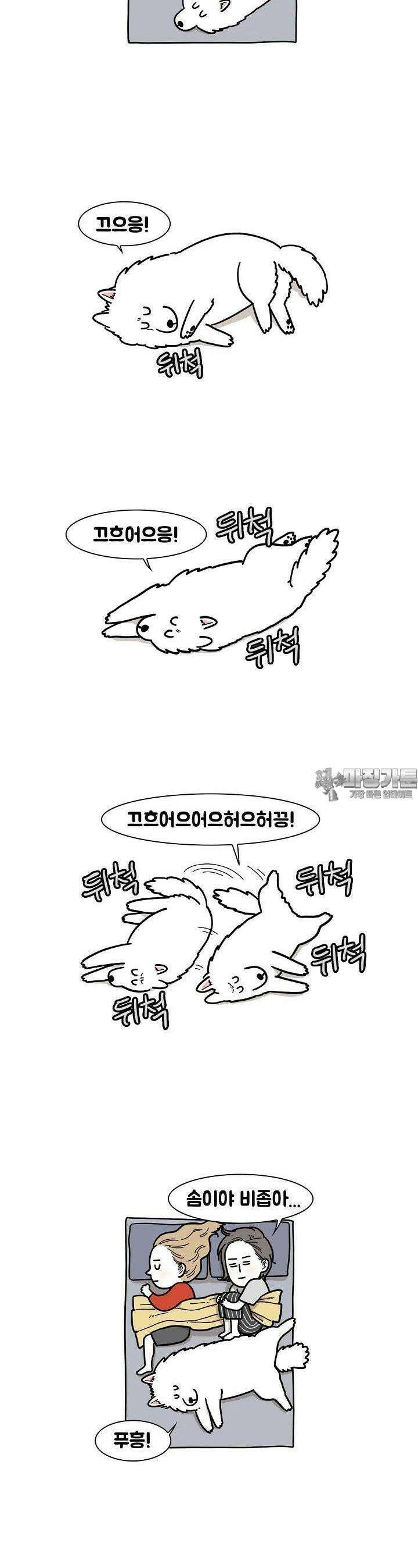 극한견주 14화 잠 3