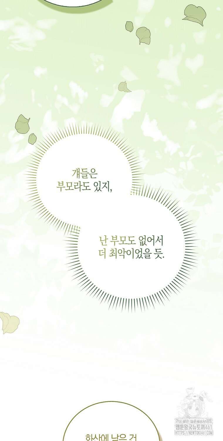 화산파 막내제자가 되었다 24화 15