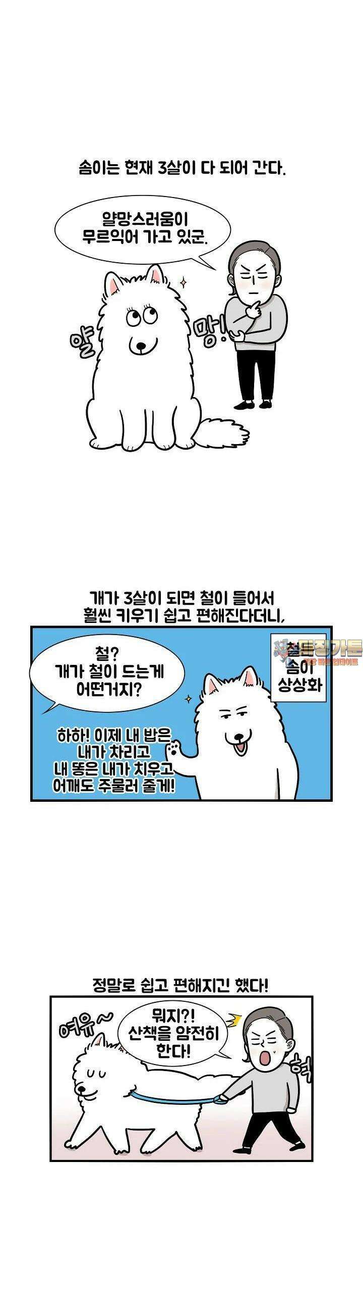 극한견주 20화 솜이가 왔다 1