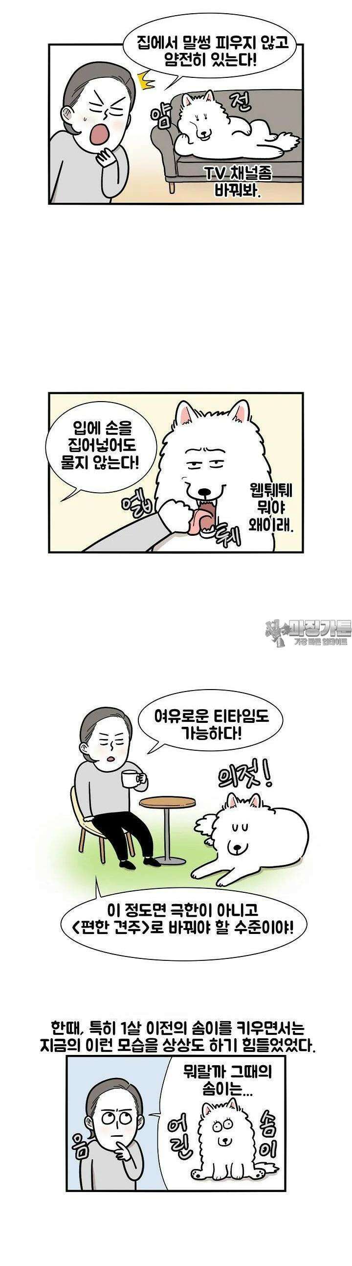 극한견주 20화 솜이가 왔다 2