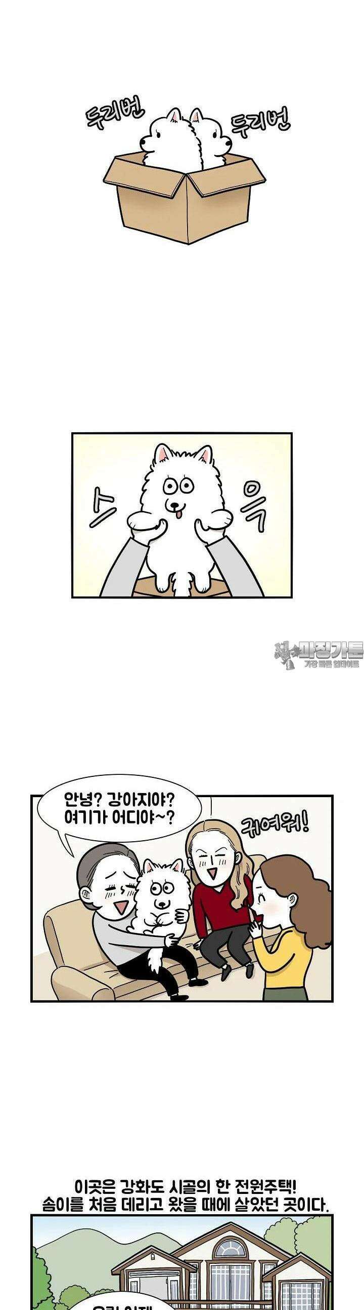 극한견주 20화 솜이가 왔다 4