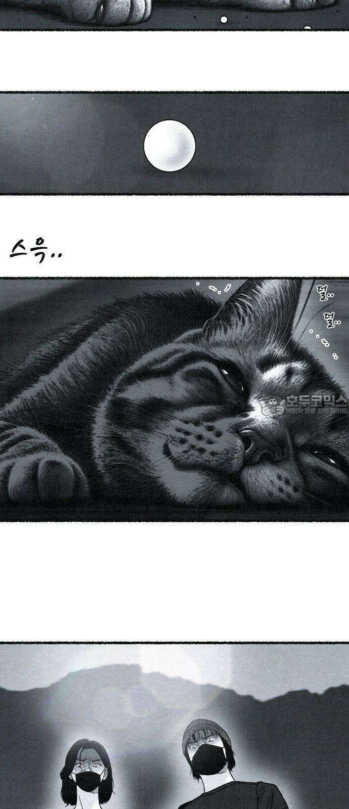벌집 28화 60