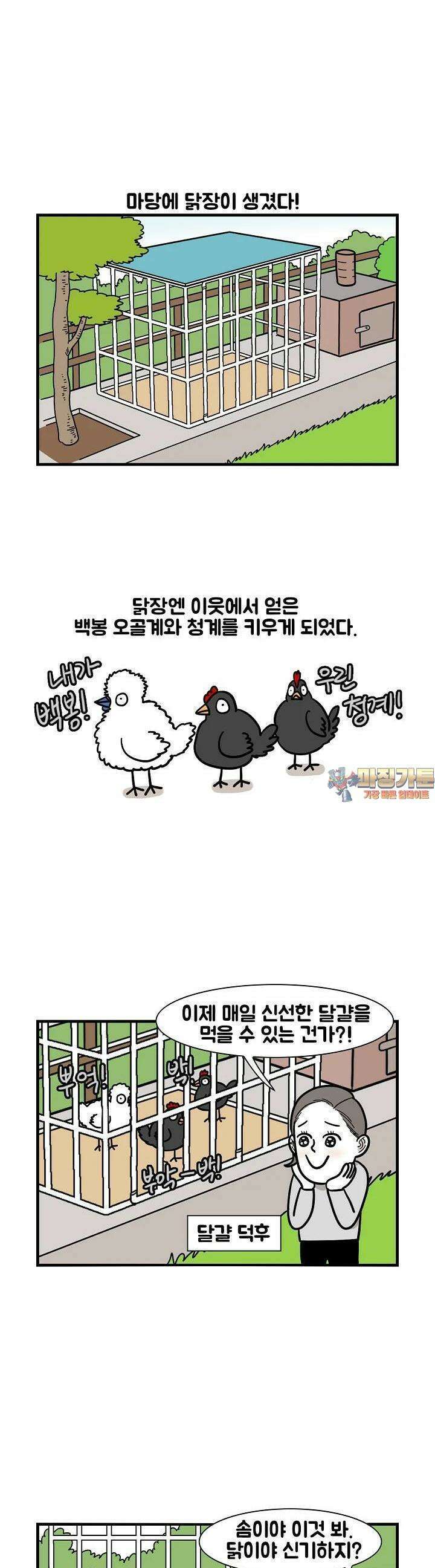 극한견주 31화 닭 1 1
