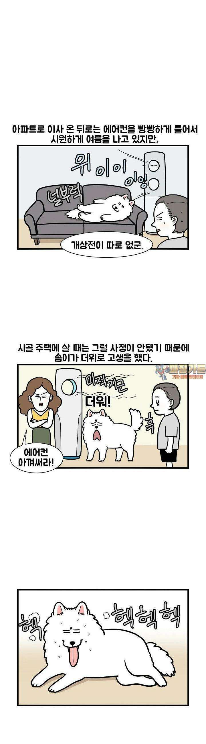 극한견주 39화 여름 1