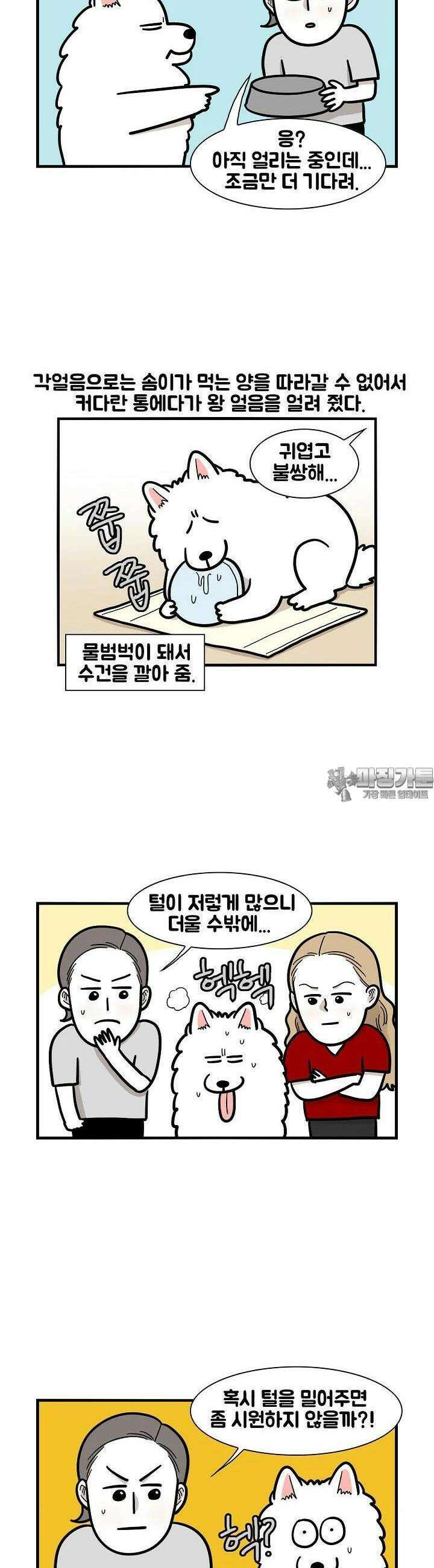 극한견주 39화 여름 3