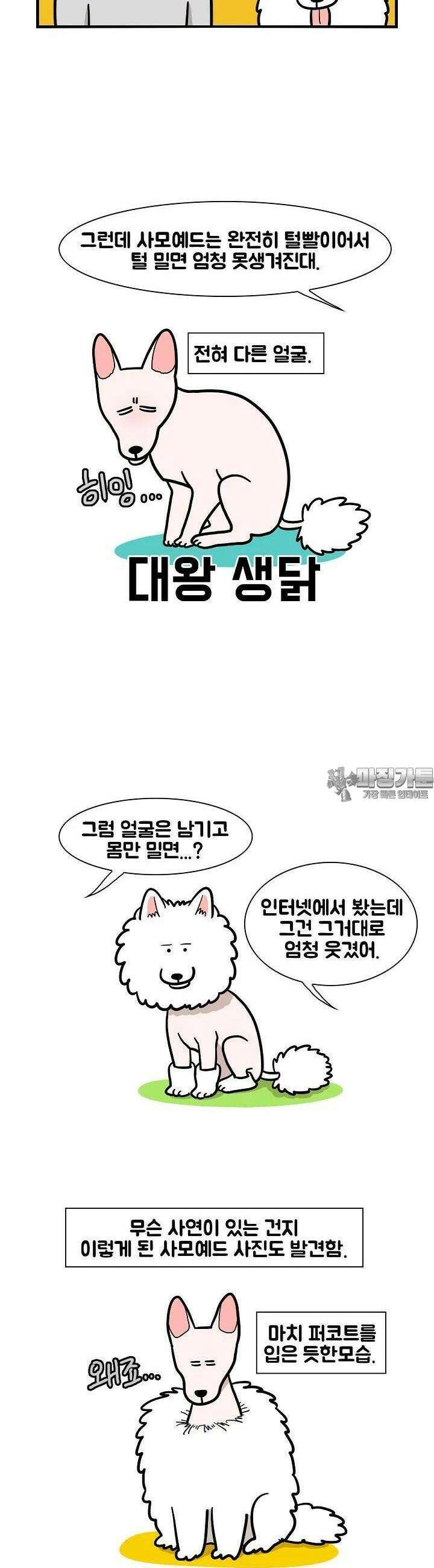 극한견주 39화 여름 4