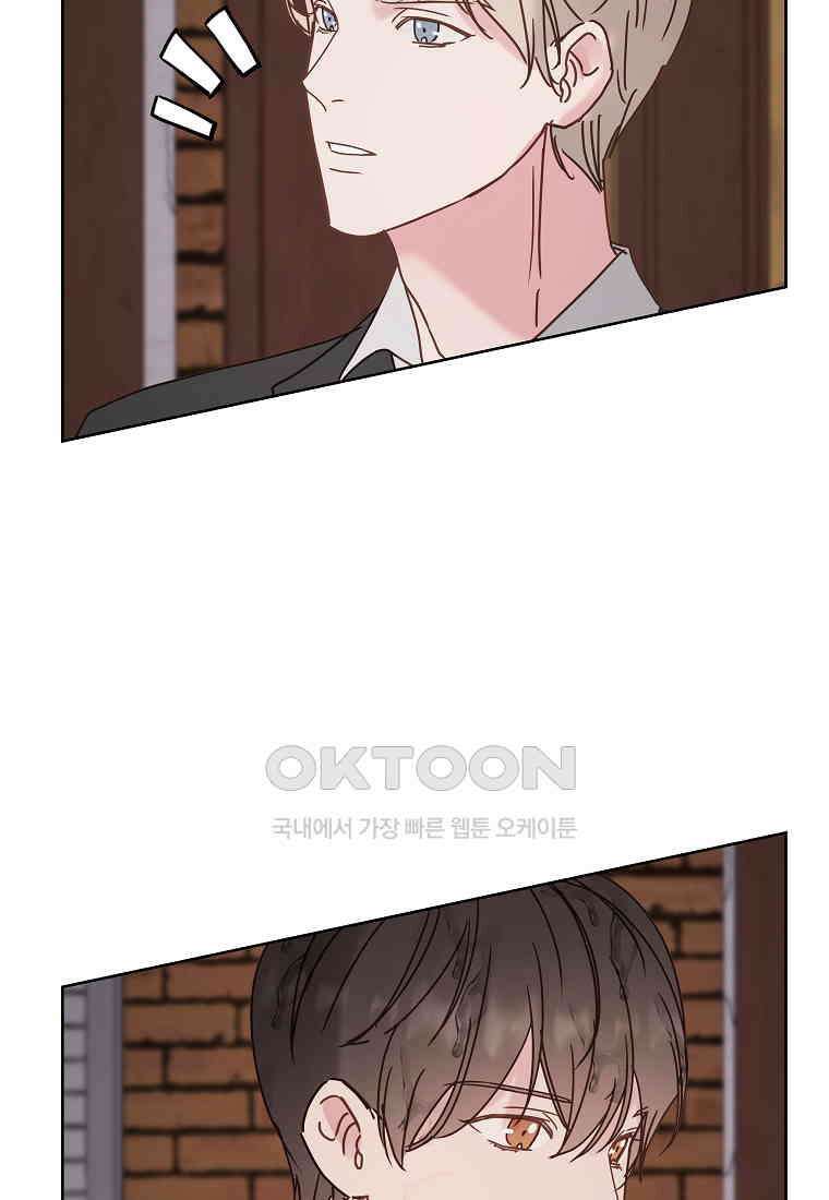 해 밝은 밤의 산책 53 15