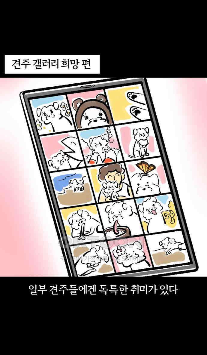 개집사 8화 수상한 취미 8