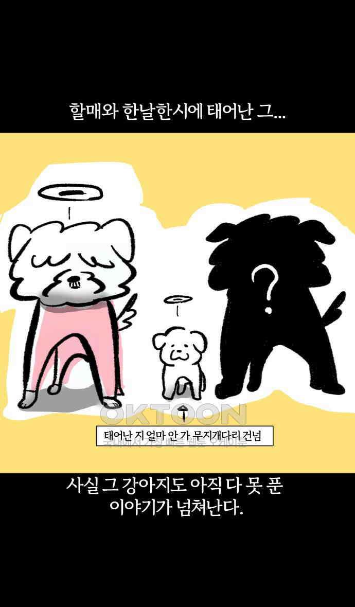 개집사 12화 대학 가자 2