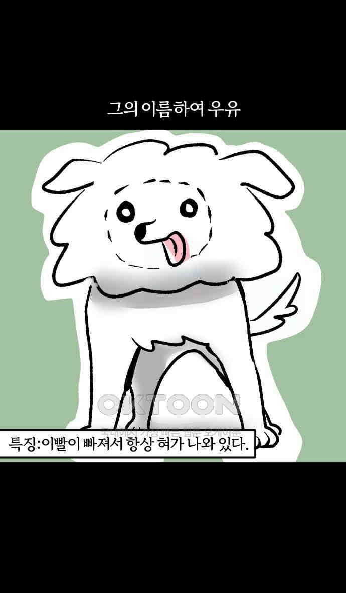 개집사 12화 대학 가자 3