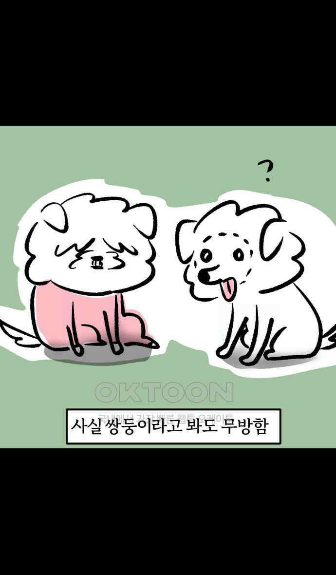 개집사 12화 대학 가자 12