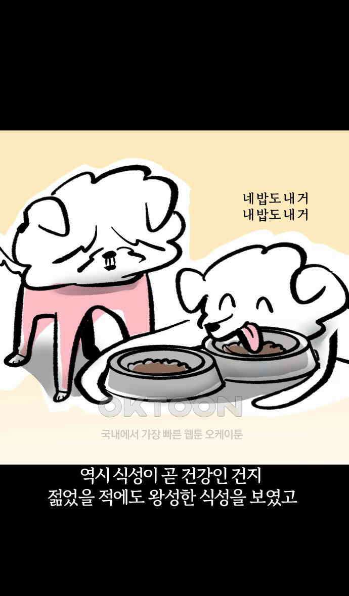 개집사 12화 대학 가자 15
