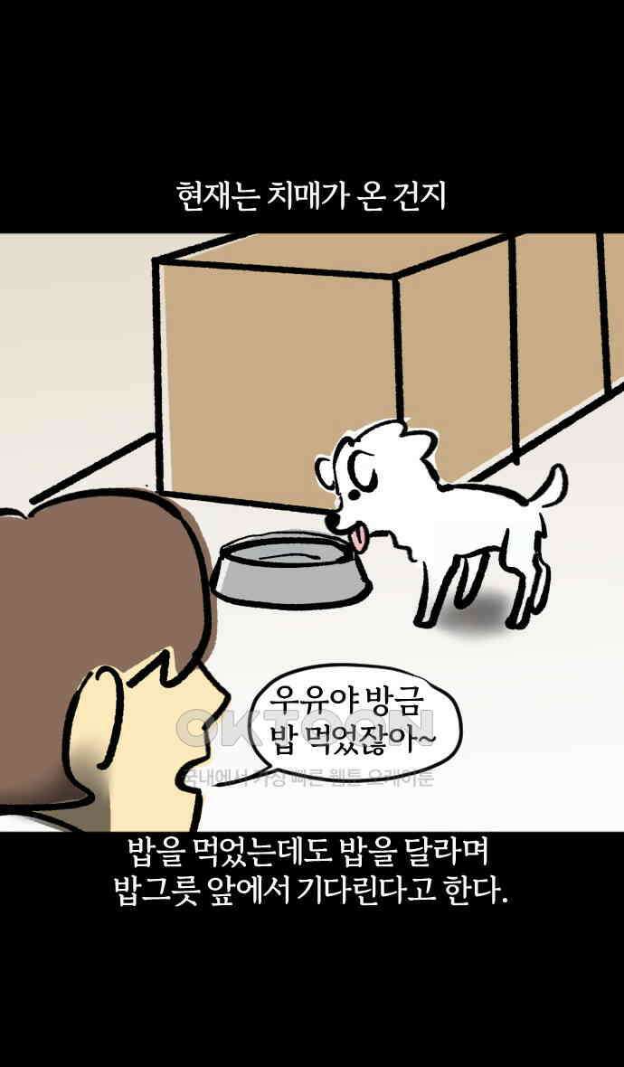 개집사 12화 대학 가자 16