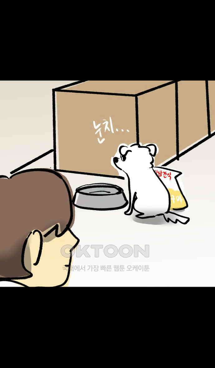 개집사 12화 대학 가자 18