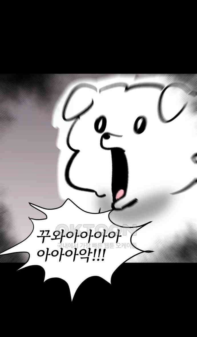 개집사 12화 대학 가자 21