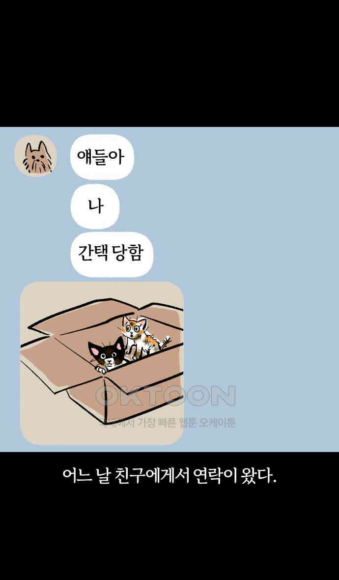 개집사 14화 고양이가 세상을 구했으면 1