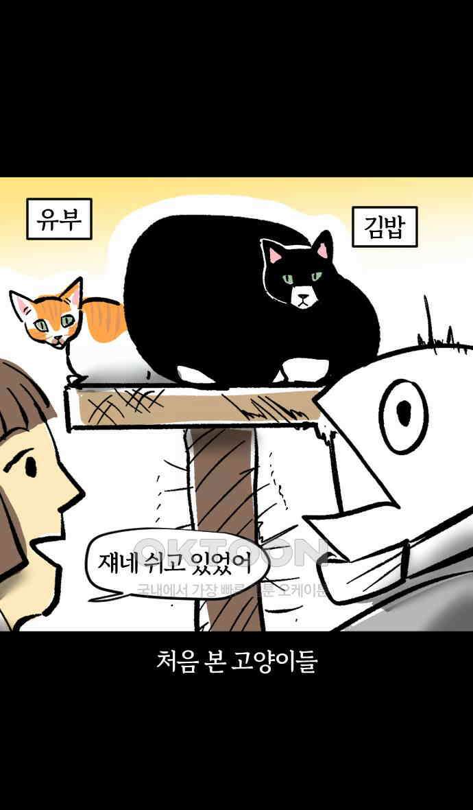 개집사 14화 고양이가 세상을 구했으면 6