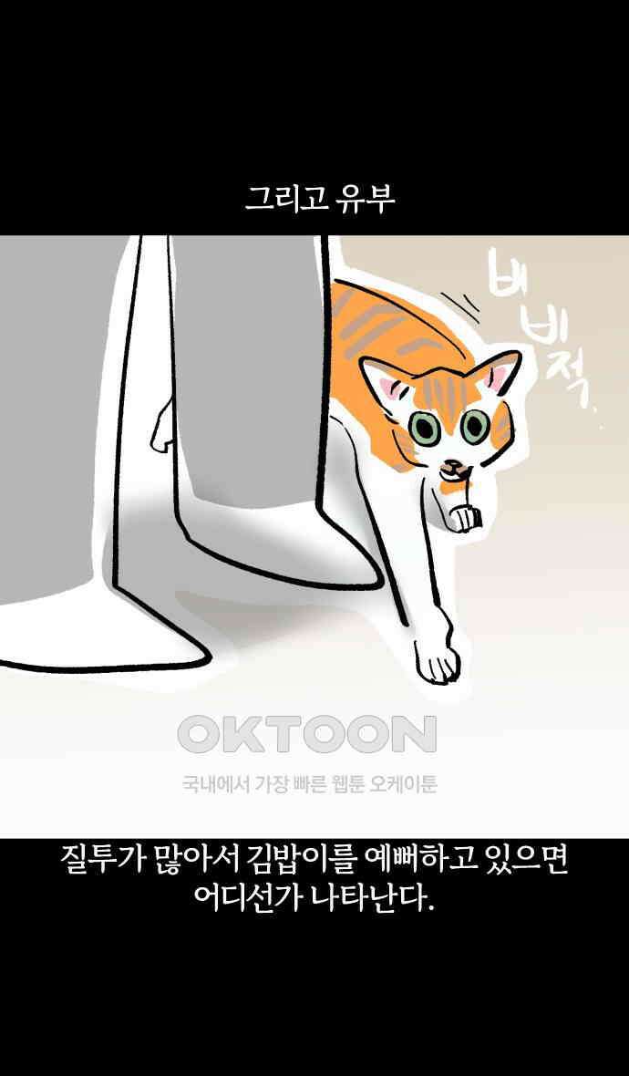 개집사 14화 고양이가 세상을 구했으면 17