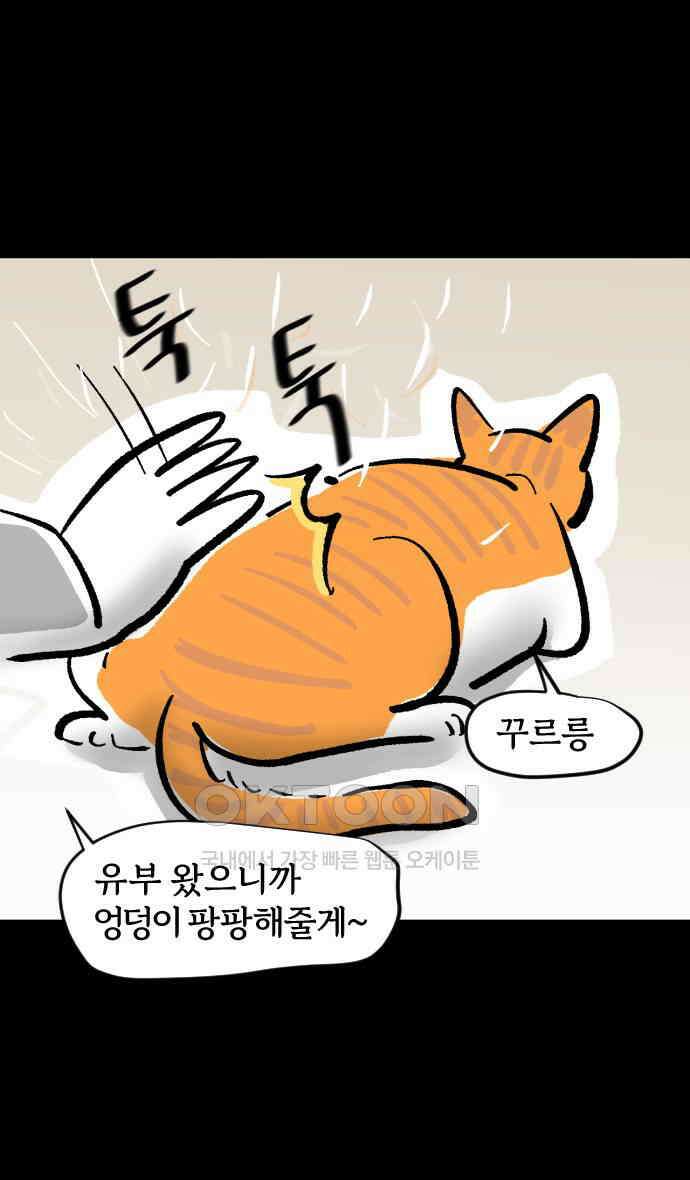 개집사 14화 고양이가 세상을 구했으면 19