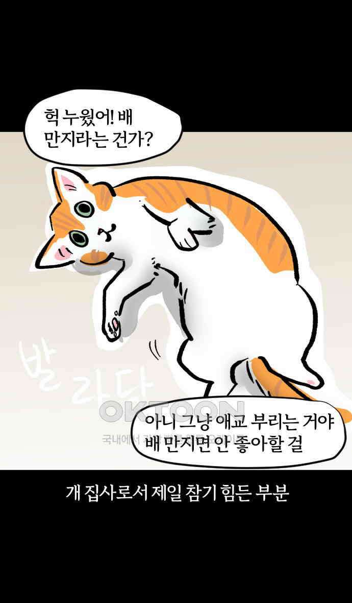 개집사 14화 고양이가 세상을 구했으면 24