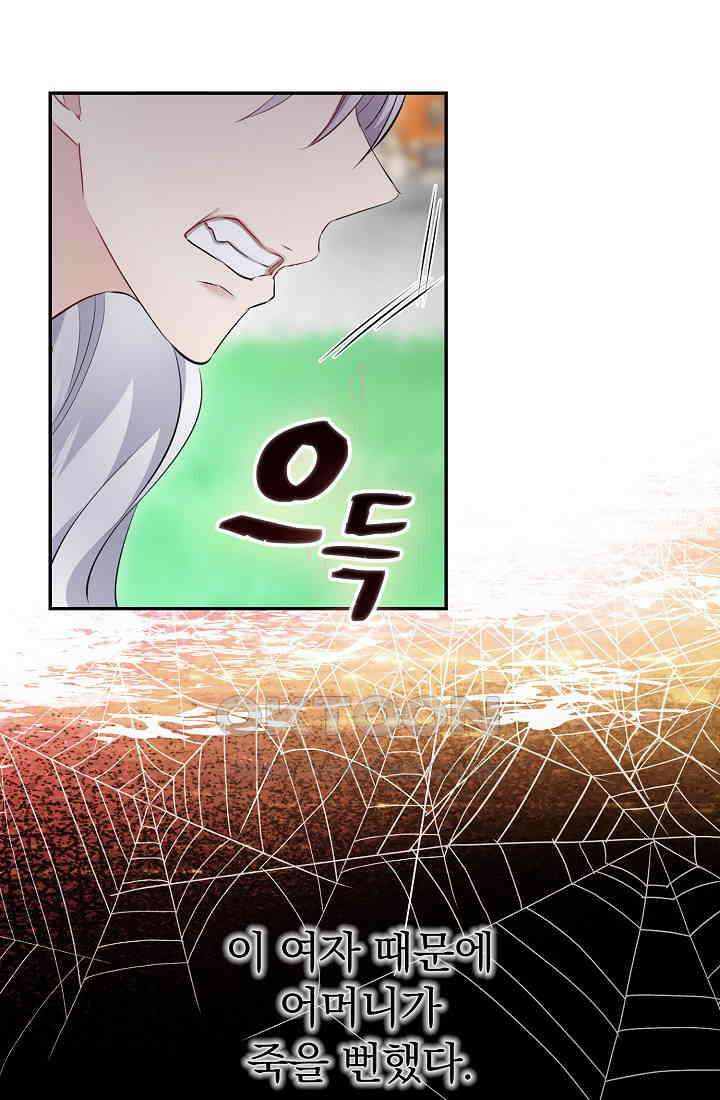 눌리타스: 절반의 백작 영애 161화 5