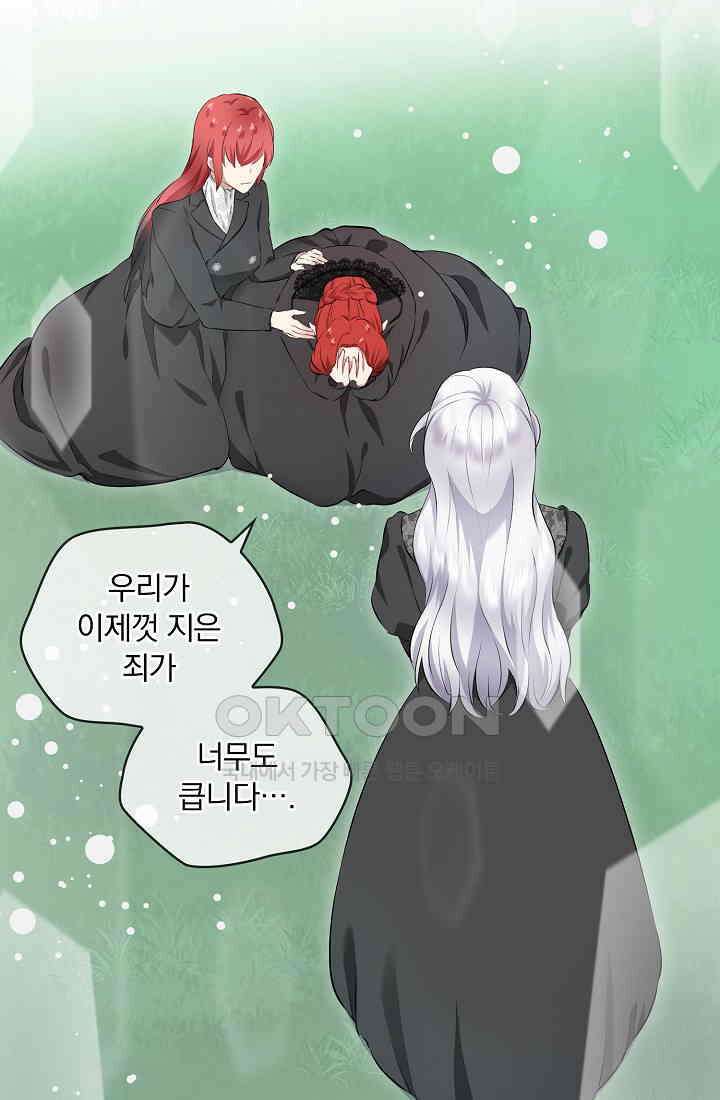 눌리타스: 절반의 백작 영애 161화 15