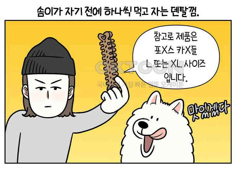 극한견주 시즌2 11화 덴탈껌 3