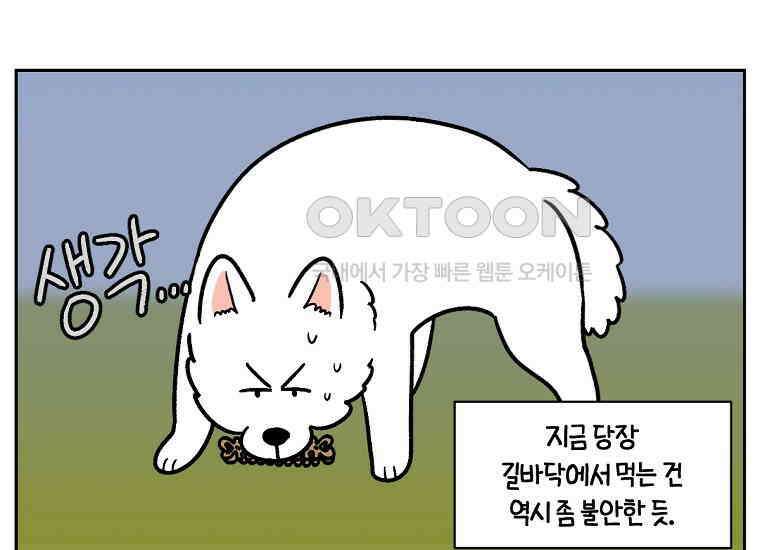 극한견주 시즌2 11화 덴탈껌 19