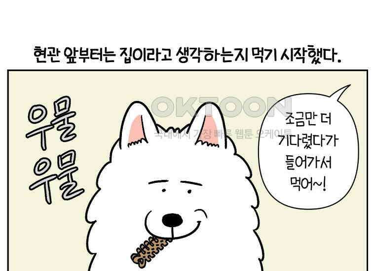 극한견주 시즌2 11화 덴탈껌 25