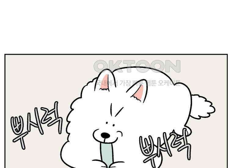 극한견주 시즌2 11화 덴탈껌 35