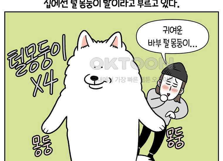 극한견주 시즌2 11화 덴탈껌 46