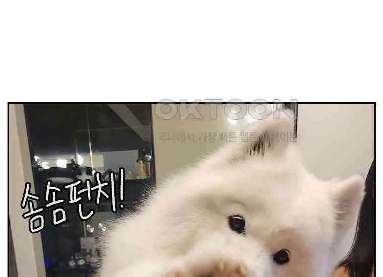 극한견주 시즌2 11화 덴탈껌 49