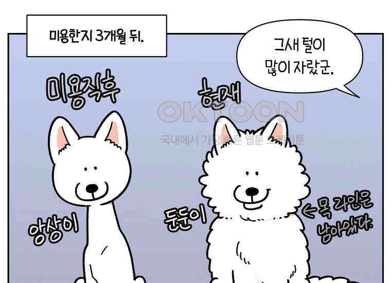 극한견주 시즌2 17화 뚱뚱한 강아지(2) 3
