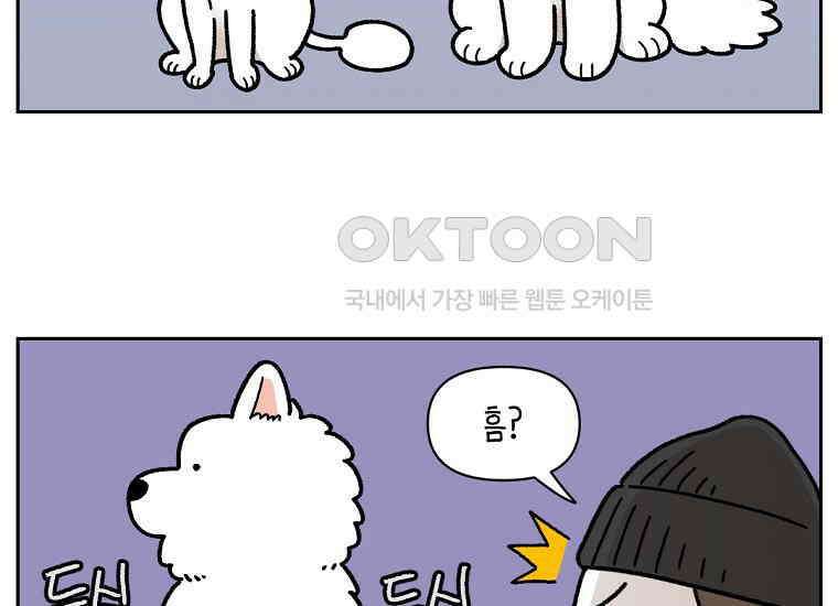 극한견주 시즌2 17화 뚱뚱한 강아지(2) 4