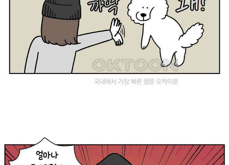극한견주 시즌2 17화 뚱뚱한 강아지(2) 8