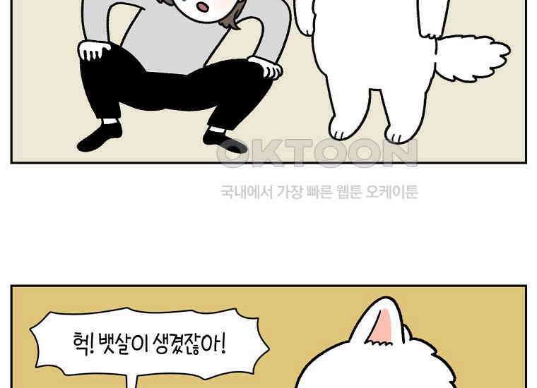 극한견주 시즌2 17화 뚱뚱한 강아지(2) 16