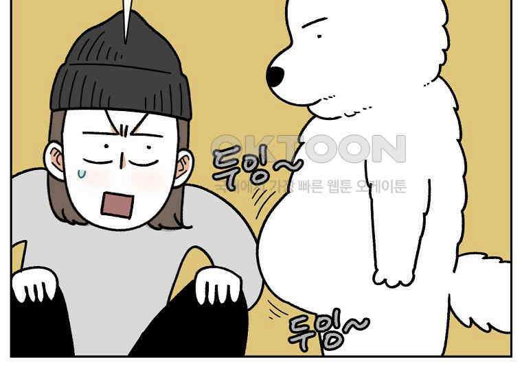 극한견주 시즌2 17화 뚱뚱한 강아지(2) 17
