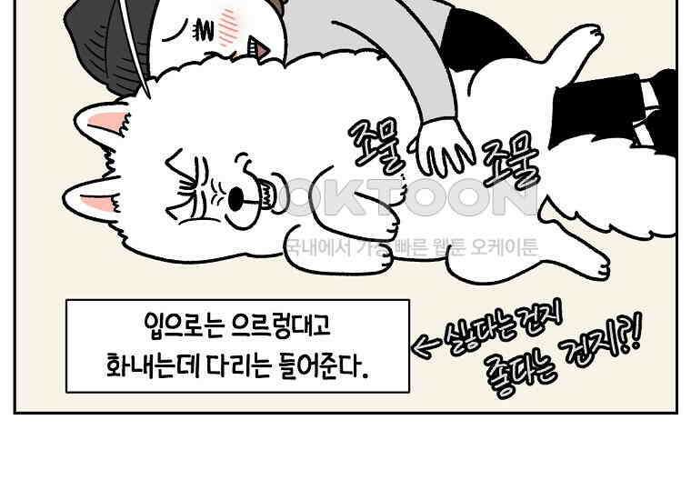 극한견주 시즌2 17화 뚱뚱한 강아지(2) 24
