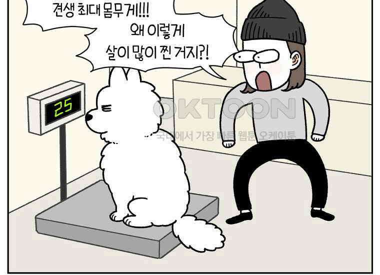 극한견주 시즌2 17화 뚱뚱한 강아지(2) 27