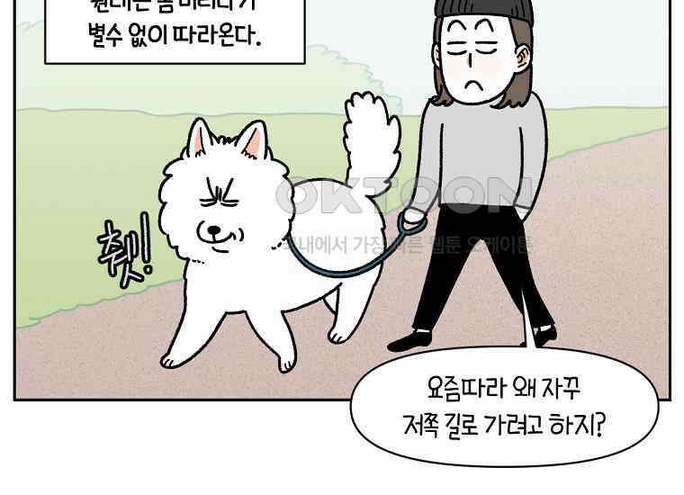 극한견주 시즌2 17화 뚱뚱한 강아지(2) 33