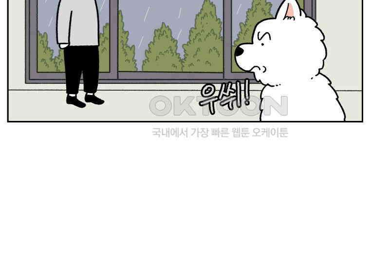 극한견주 시즌2 17화 뚱뚱한 강아지(2) 38