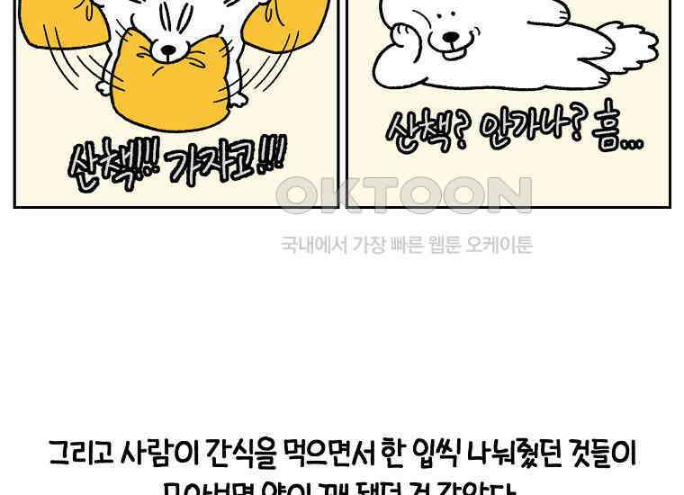 극한견주 시즌2 17화 뚱뚱한 강아지(2) 41