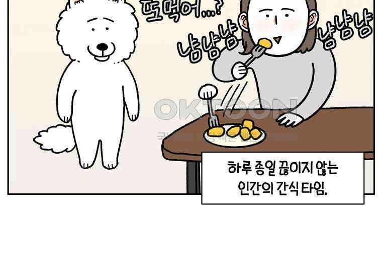 극한견주 시즌2 17화 뚱뚱한 강아지(2) 44
