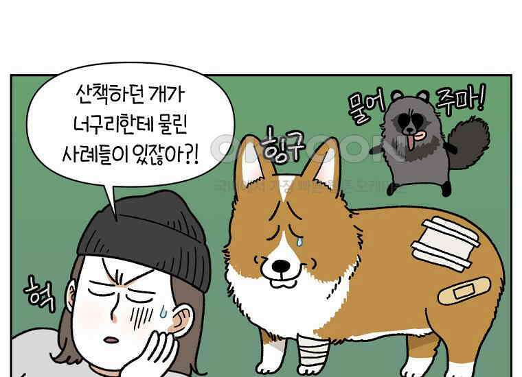 극한견주 시즌2 24화 너구리 6