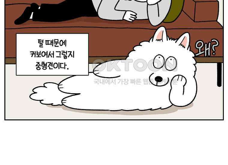 극한견주 시즌2 24화 너구리 11