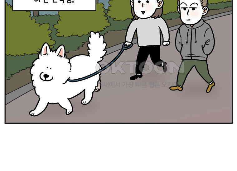 극한견주 시즌2 24화 너구리 14