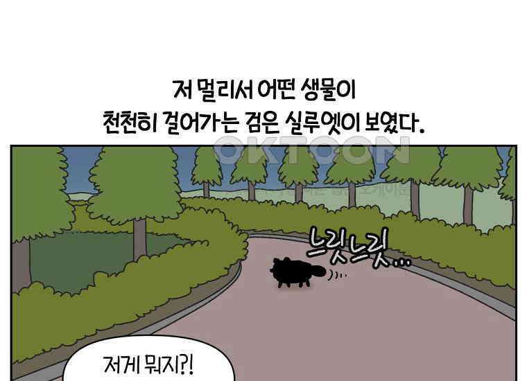 극한견주 시즌2 24화 너구리 15