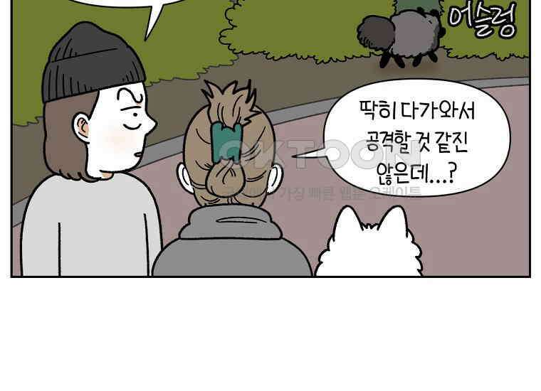 극한견주 시즌2 24화 너구리 20