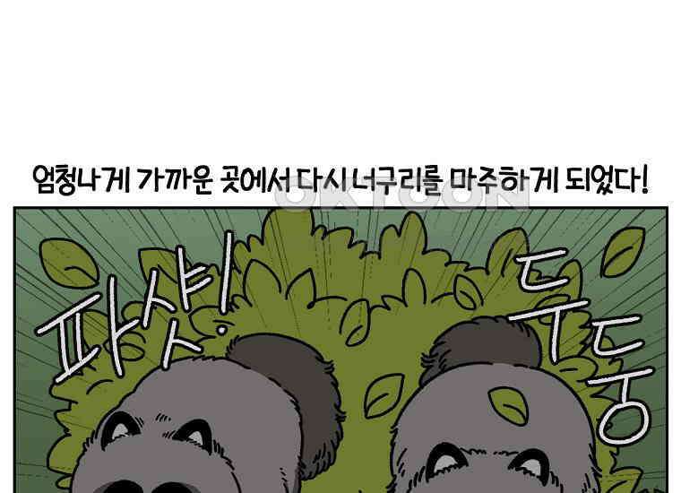 극한견주 시즌2 24화 너구리 24