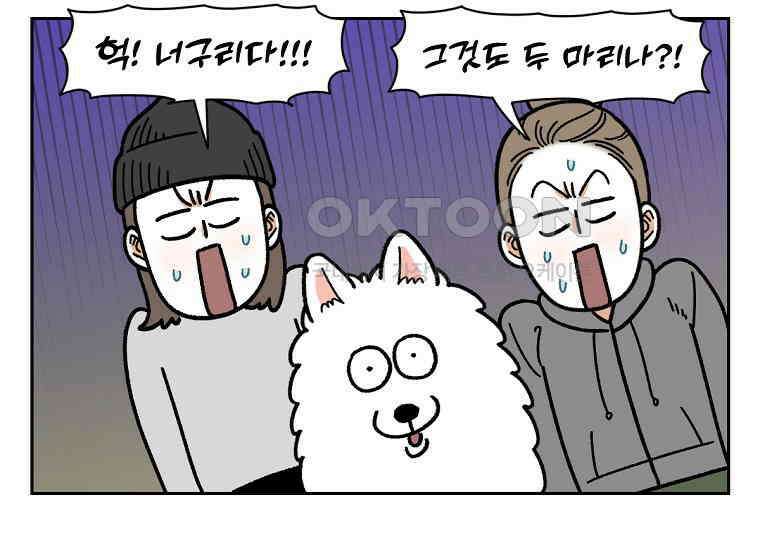 극한견주 시즌2 24화 너구리 26